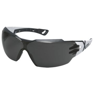 uvex pheos cx2 9198230 Schutzbrille uvex supravision excellence Bügelbrille grau getönt