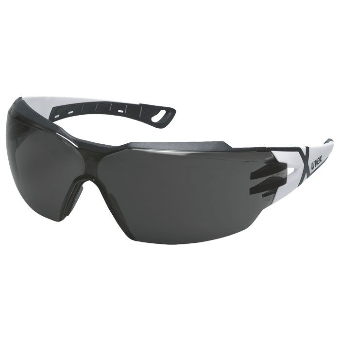 uvex pheos cx2 9198230 Schutzbrille uvex supravision excellence Bügelbrille grau getönt
